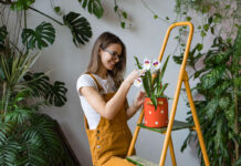VEJA X Mini Rodini Kid’s Trainer Collaboration